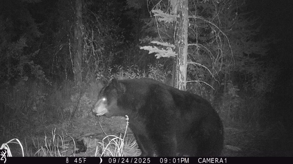 P00[0:166] TT[640] E[072:0000]G[064:0x00] BV[-25:0] IR[M]