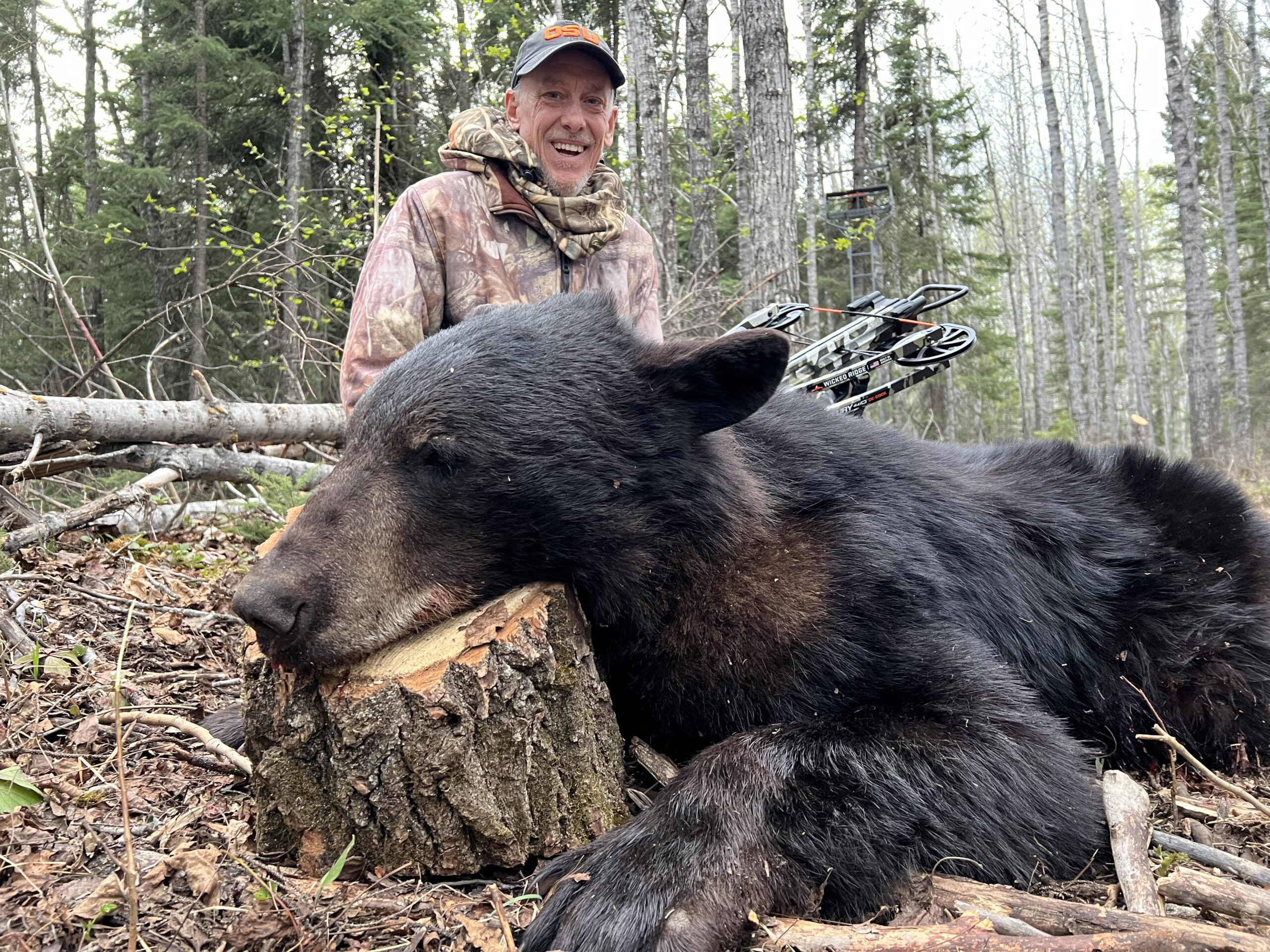 kevin-anderson-black-bear-spring-2025