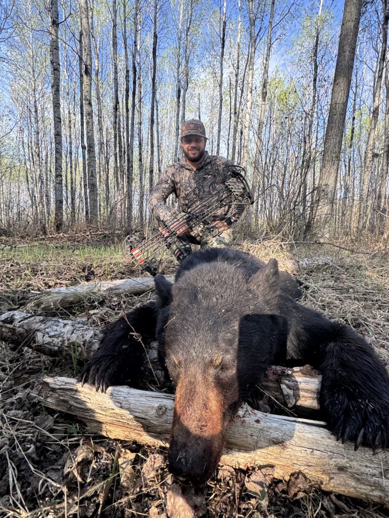 2026-spring-black-bear-trophy-BQ-009